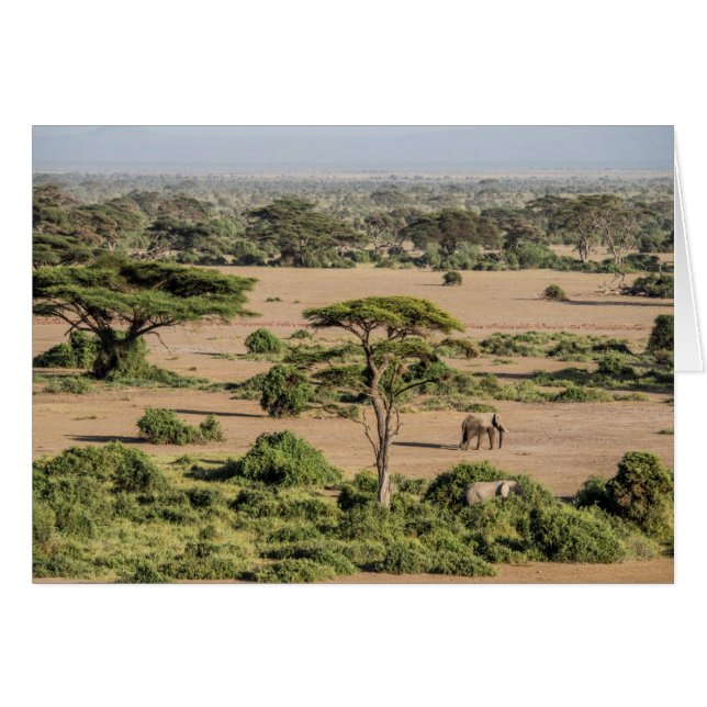 Paysage africain avec éléphant (Devant horizontal)