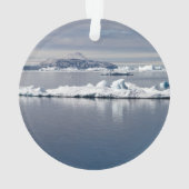 Paysage antarctique (dos)