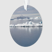 Paysage antarctique (devant)