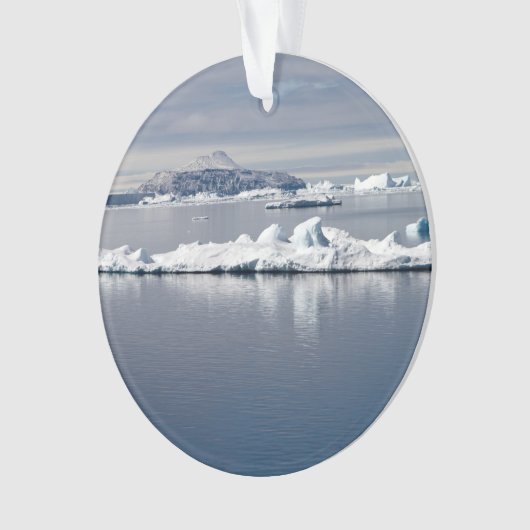 Paysage antarctique (devant)