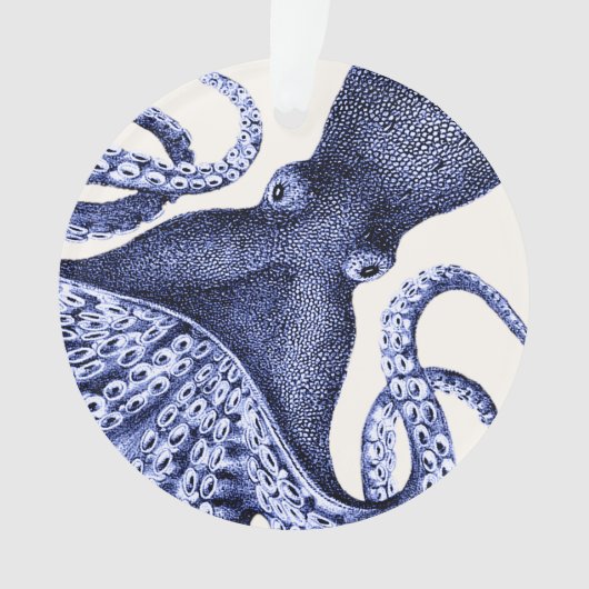 Paysage Bleu Octopus (devant)