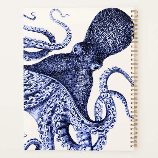 Paysage Bleu Octopus (Dos)