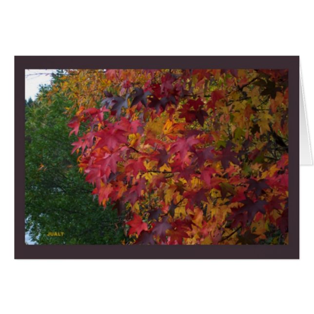 Paysage carte 16 (Devant horizontal)