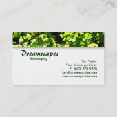 Paysage / Carte de visite de l'arbre d'entretien d (Dos)