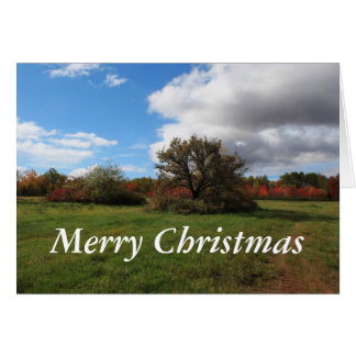 Paysage champêtre paisible photographie de Noël