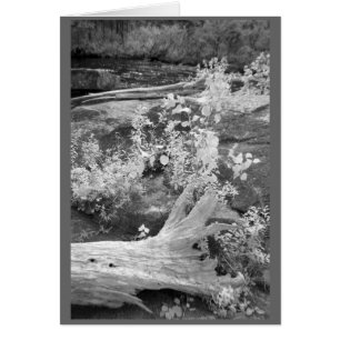 Paysage dans le New Hampshire rural