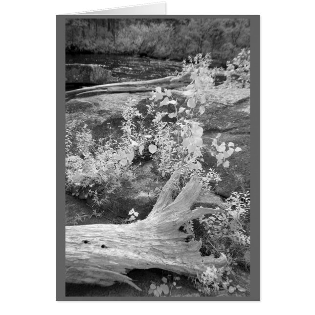 Paysage dans le New Hampshire rural (Devant)