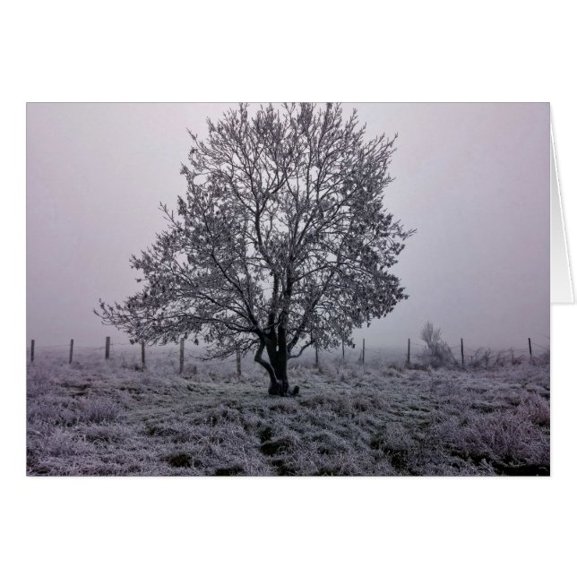 Paysage d'arbre hivernal (Devant horizontal)