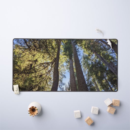 Paysage d'arbres forestiers (Tableau pour enfants)