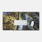 Paysage d'arbres forestiers (Clavier et souris)