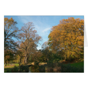 Paysage d'automne, Bute Park, Cardiff
