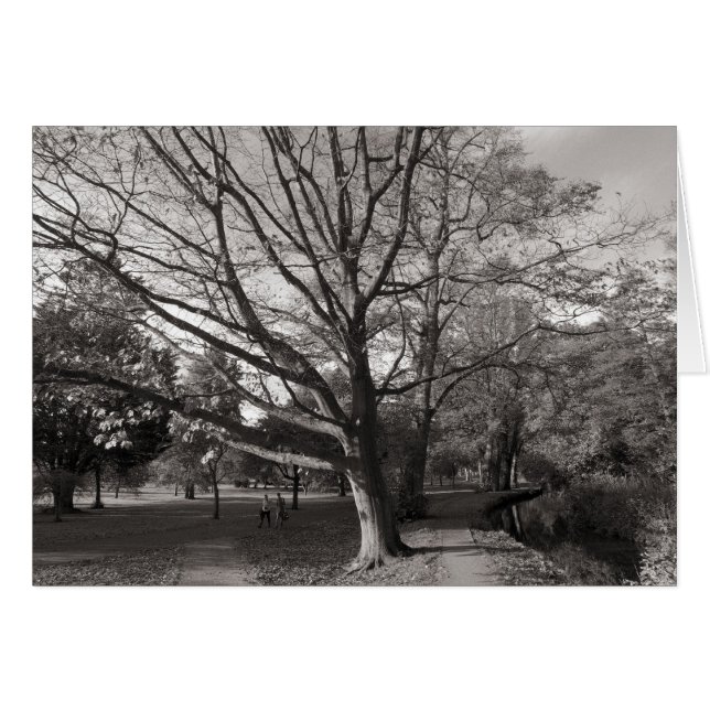 Paysage d'automne, Bute Park, Cardiff (Devant horizontal)