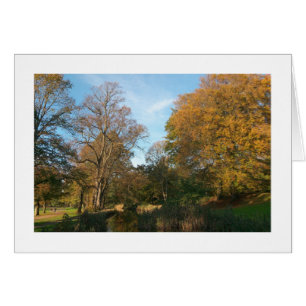 Paysage d'automne, Bute Park, Cardiff (Bordé)