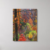 Paysage d'automne sur toile enveloppée (Recto)