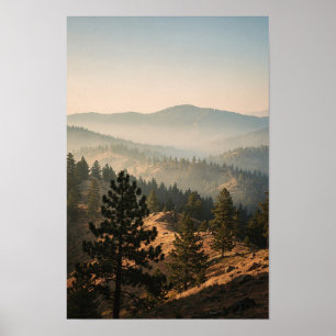 Paysage de crête de pin brumeux à l'aube Poster