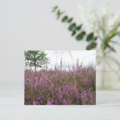 Paysage de fleurs pourpres do-it-yourself carte po (Debout devant)