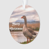 Paysage de Joty Goose (devant)