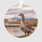 Paysage de Joty Goose (devant)