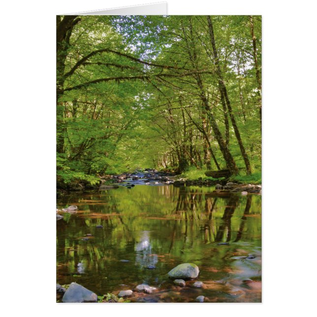 Paysage de la rivière Wilson (Devant)