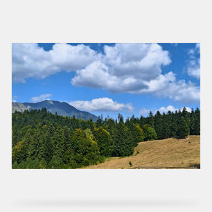 Paysage de prairie de montagne - Nature sauvage Ro