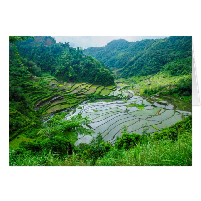 Paysage de rizières, Philippines (Devant horizontal)
