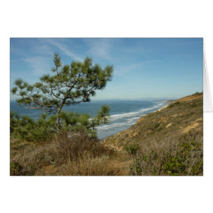 Paysage de Torrey Pine et de la côte californienne
