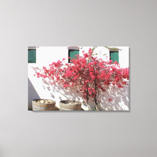 Paysage de vignoble du Cap occidental sur toile (Recto)