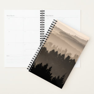 Paysage des collines