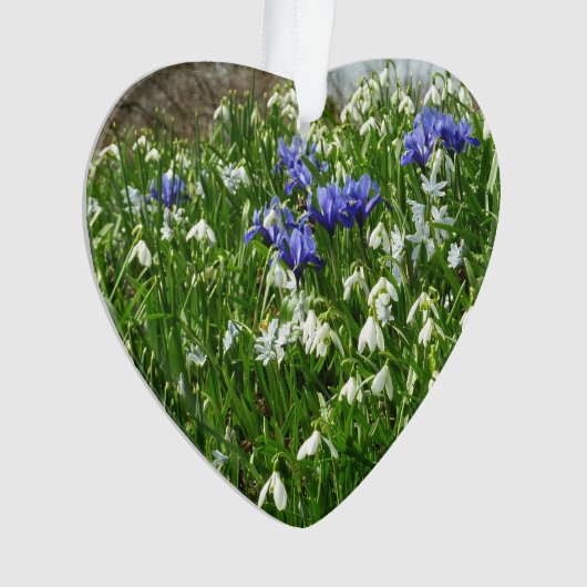 Paysage des fleurs du début du printemps (devant)