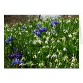 Paysage des fleurs du début du printemps (Devant horizontal)