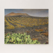 Paysage des puzzle de Lanzarote - vignoble (Horizontal)
