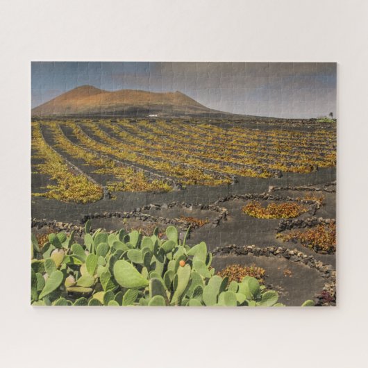 Paysage des puzzle de Lanzarote - vignoble (Horizontal)