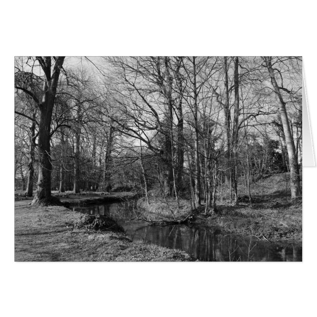 Paysage du parc - Bute Park, Cardiff (Devant horizontal)