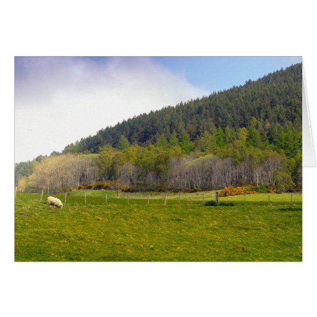 Paysage écossais des Highlands (Devant horizontal)