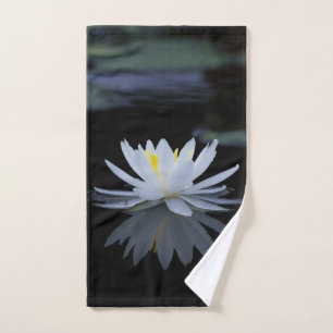 Paysage élégant de fleurs de lotus blanches, Zen