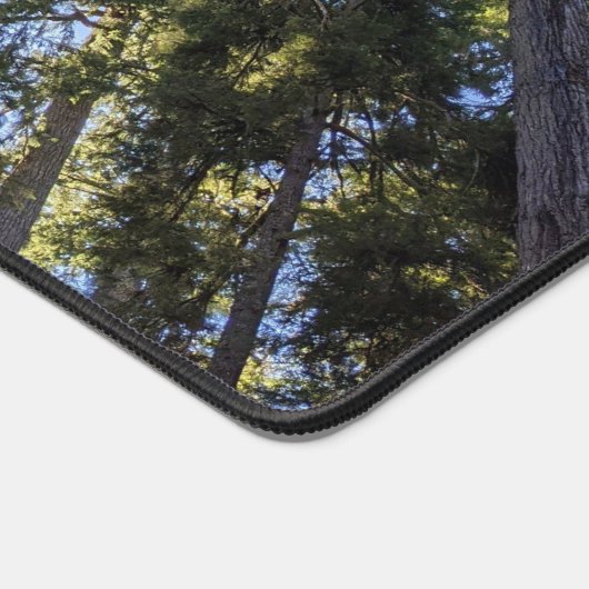 Paysage forestier (Coin)