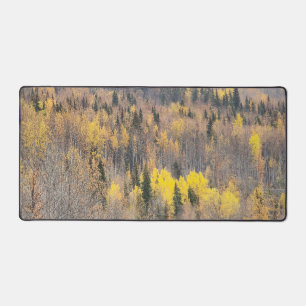 Paysage forestier automnal avec arbres dorés