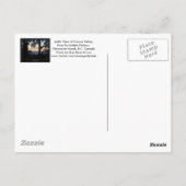 Paysage forestier Cartes postales (Dos)