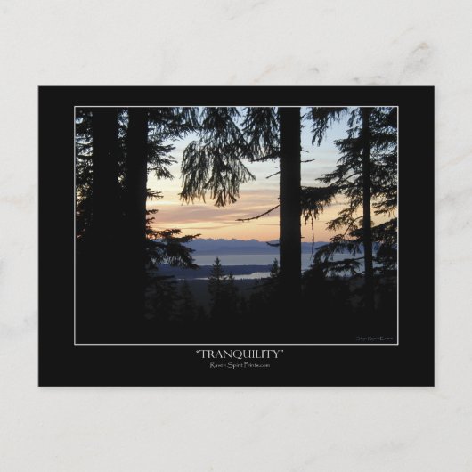 Paysage forestier Cartes postales (Devant)