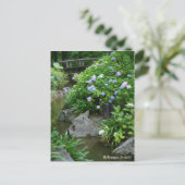 Paysage Hydrangea : Carte postale (Debout devant)