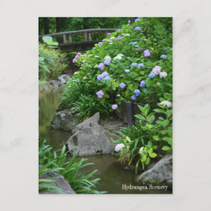 Paysage Hydrangea : Carte postale