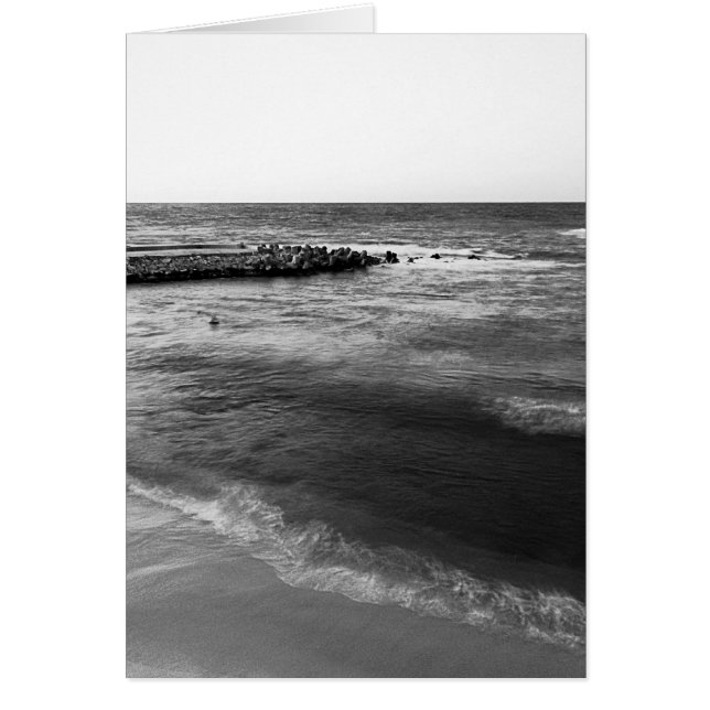 Paysage marin (Devant)