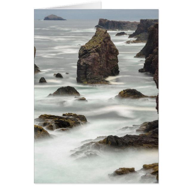 Paysage marin et stacks, Shetland (Devant)