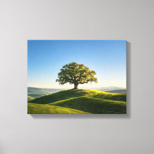 Paysage n° 6, série de paysages sur toile