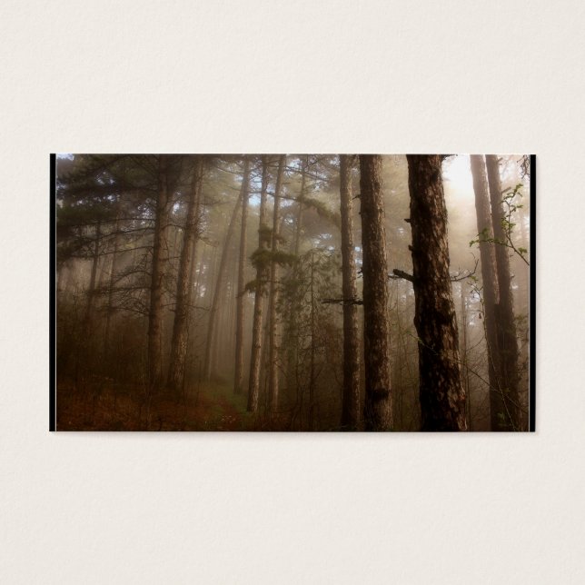 Paysage naturel des arbres forestiers (Devant)