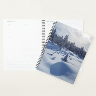 Paysage neigeux
