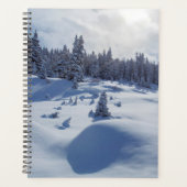 Paysage neigeux (Devant)
