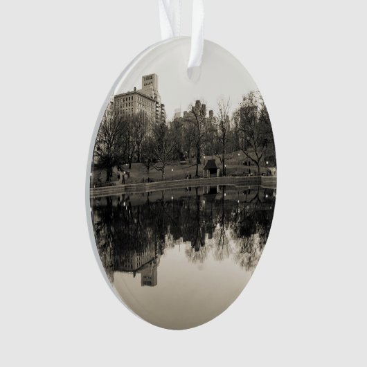 Paysage noir et blanc dans le Central Park (devant)