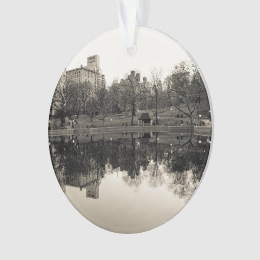 Paysage noir et blanc dans le Central Park (devant)