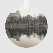 Paysage noir et blanc dans le Central Park (devant)